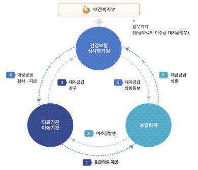 <응급의료비 대지급제도 업무 흐름도>